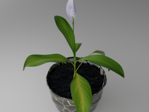 Spathiphylluminstonepot Modello 3D