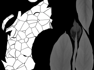 Spathiphyllum Instonepot Modello 3D