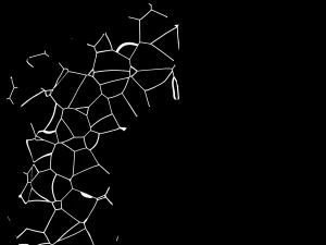 Spathiphyllum Instonepot Modello 3D