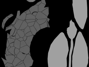 Spathiphyllum Instonepot Modello 3D