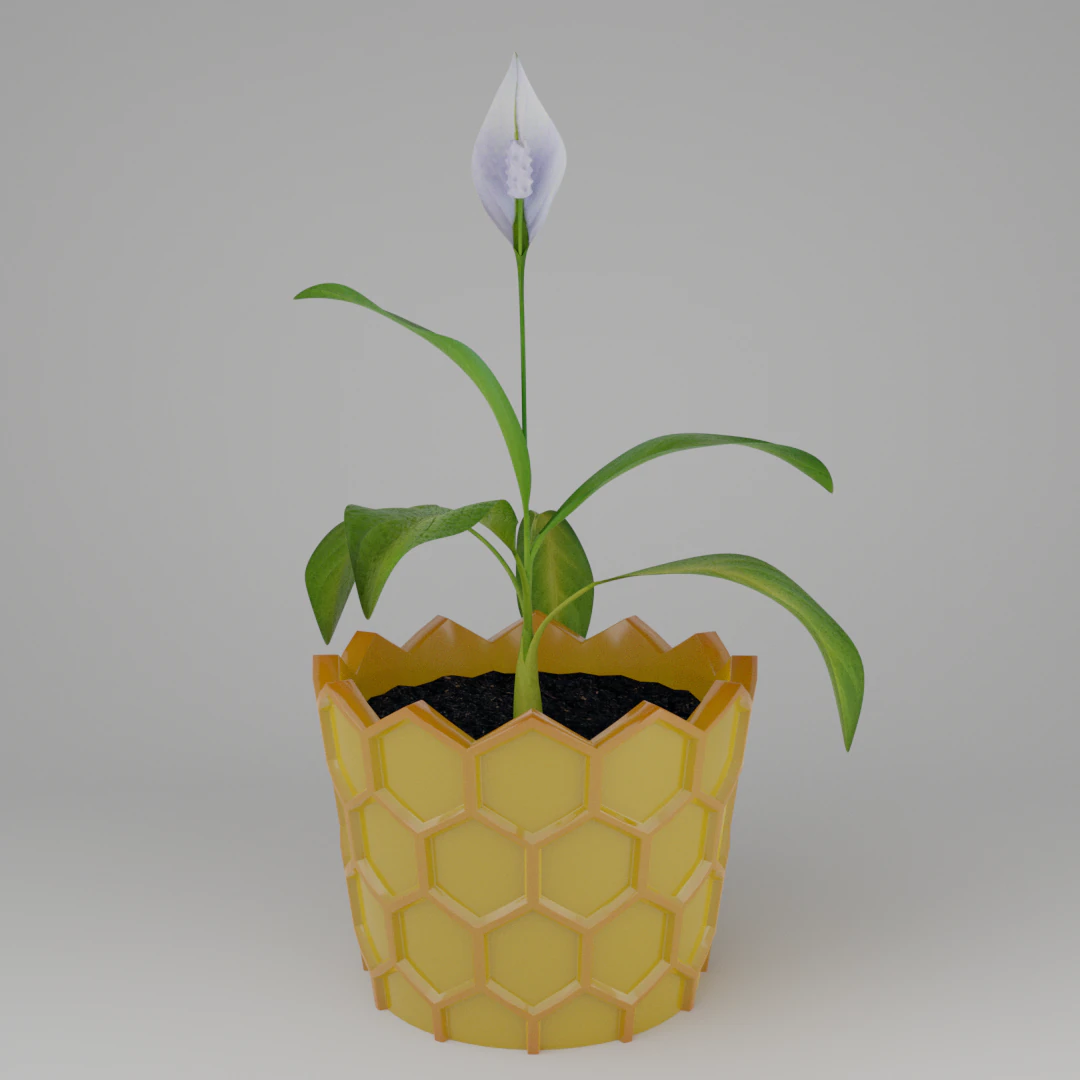 Spathiphyllum in honeycombpot 3D Model .c4d .max .obj .3ds .fbx .stl .blend 