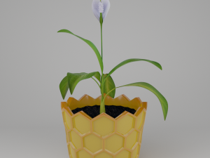 Spathiphyllum in honeycombpot 3D मॉडल