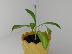 Spathiphyllum in honeycombpot 3D मॉडल