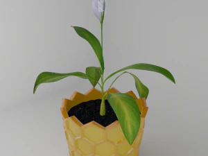 Spathiphyllum in honeycombpot 3D Model