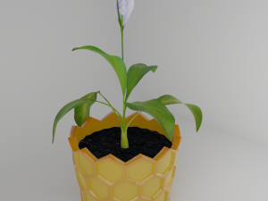 Spathiphyllum in honeycombpot 3D मॉडल