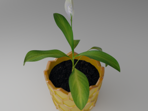 Spathiphyllum in honeycombpot 3D मॉडल