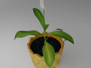 Spathiphyllum in honeycombpot 3D Model