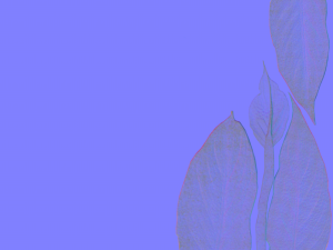 Spathiphyllum in honeycombpot 3D मॉडल