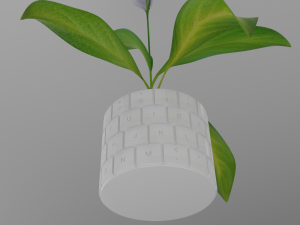 Spathiphylluminkeyboardpot Modello 3D