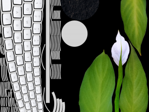 Spathiphylluminkeyboardpot Modello 3D