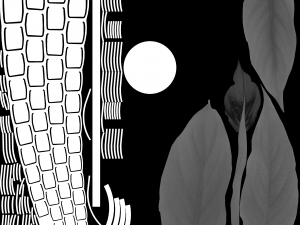 Spathiphylluminkeyboardpot Modello 3D