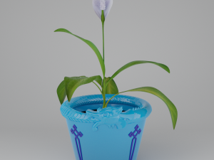 Spathiphyllum in dragonpot 3D मॉडल