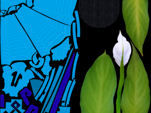 Spathiphyllum in dragonpot Model 3D