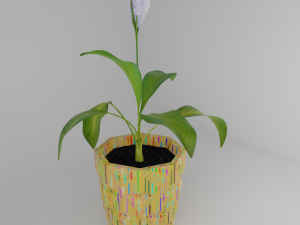 Spathiphyllum in pencilpot 3D Model