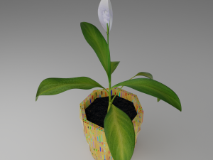 Spathiphyllum in pencilpot 3D Model