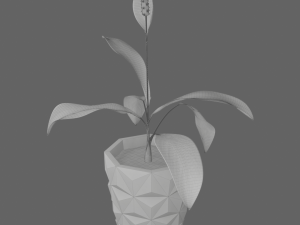Spathiphyllum in pencilpot 3D Model