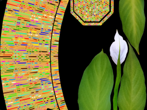 Spathiphyllum in pencilpot 3D Model