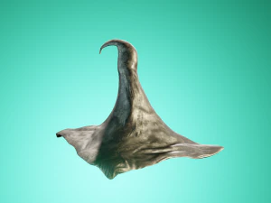 Leather hat 3D Model
