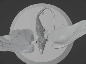 Grifo Modèle 3D