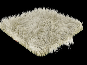 carpet 3D 模型