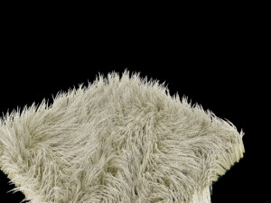 carpet 3D Model