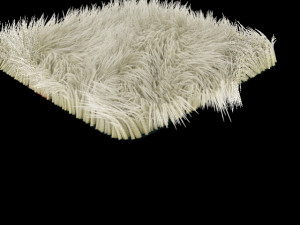 carpet 3D Model