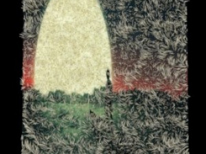 carpet 3D 模型
