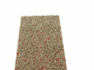 carpet Model 3D