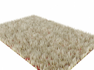 carpet Model 3D