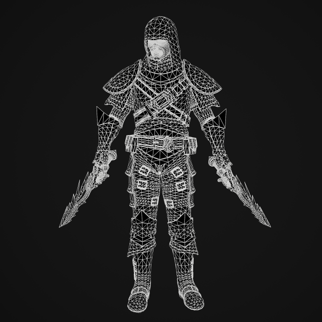 Womens Fantasy Assassin Outfit