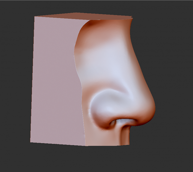 human nose modelit can be printed in 3dorgan nosethank you 3D Model .c4d .max .obj .3ds .fbx .stl .blend