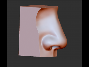 human nose modelit can be printed in 3dorgan nosethank you 3D Model