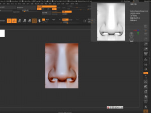 human nose modelit can be printed in 3dorgan nosethank you 3D Model