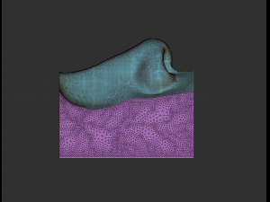 human nose modelit can be printed in 3dorgan nosethank you 3D Model