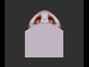 human nose modelit can be printed in 3dorgan nosethank you 3D Model