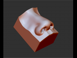 human nose modelit can be printed in 3dorgan nosethank you 3D Model