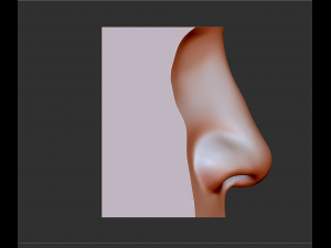 human nose modelit can be printed in 3dorgan nosethank you 3D Model