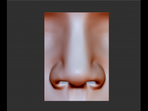 human nose modelit can be printed in 3dorgan nosethank you 3D Model