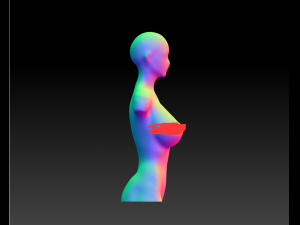 female body art model download 3d large chest female model download 3D Model