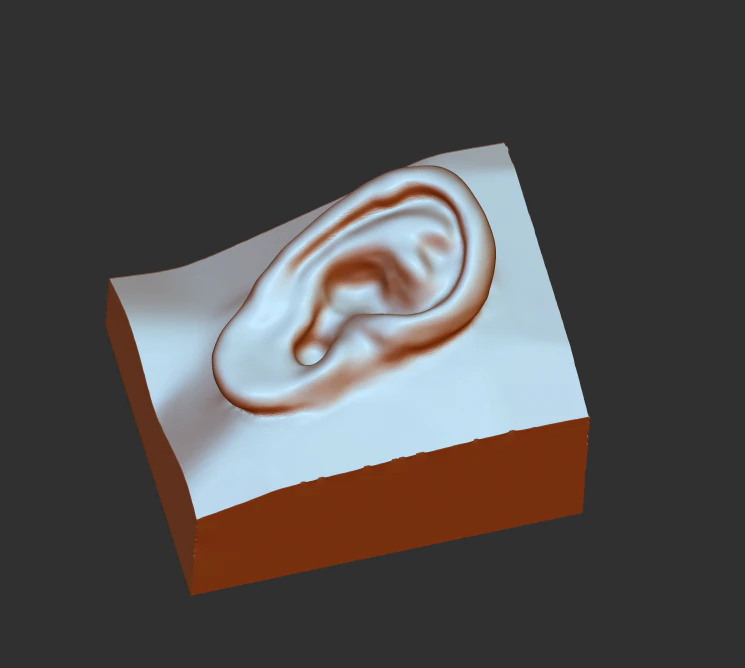 download 3d picture of ear picture of ear 3D Model .c4d .max .obj .3ds .fbx .stl .blend 