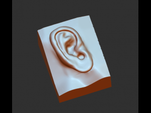 download 3d picture of ear picture of ear 3D Model