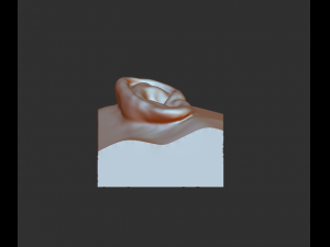 download 3d picture of ear picture of ear 3D Model