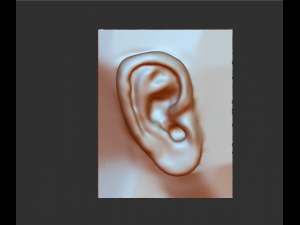 download 3d picture of ear picture of ear 3D Model