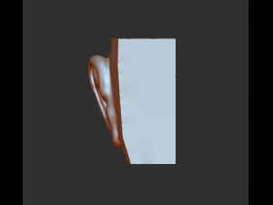 download 3d picture of ear picture of ear 3D Model