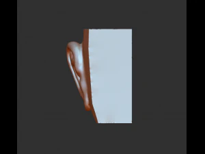 download 3d picture of ear picture of ear 3D Model