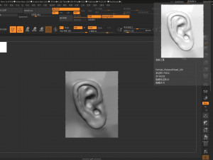 download 3d picture of ear picture of ear 3D Model