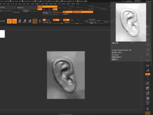 download 3d picture of ear picture of ear 3D Model