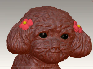 original teddy dog 3d design model download 3D Model