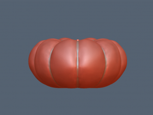 download stl format of pumpkin 3d drawing 3D Model