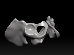 download of human hip bone Modèle 3D